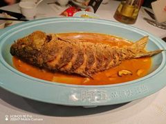 -阿五黄河大鲤鱼(英协路店)
