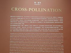-德基艺术博物馆