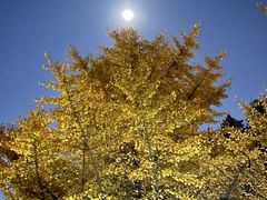 -全季酒店(苏州观前步行街店)