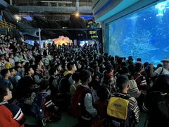 -海合安成都极地海洋公园