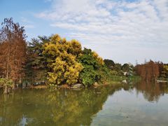 -海珠湖公园