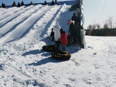 -绿野森林乐园冰雪季