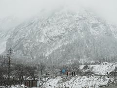 -金鼎雪山牦牛杂火锅(理县总店)