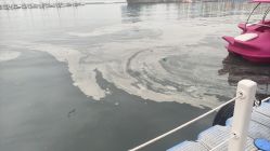 -星海水上乐园(星海广场圣亚店)