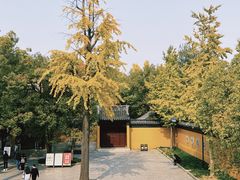 -西园戒幢律寺