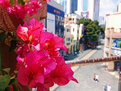 -川里谈·川味小馆(北京路店)