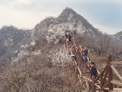 -大岭沟猕猴桃谷风景区