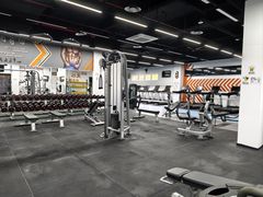 -莱茵体育生活馆