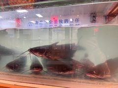 -苗岭侗寨(金阳店)