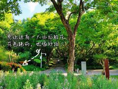 -深圳国际园林花卉博览园