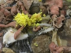 -潮镇老尾牛杂(环城西路店)