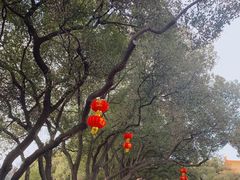 -太子山公园(园东路)