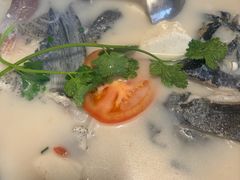 -全乐鱼馆·淳牌有机鱼直营店