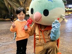 -杭州开元森泊度假乐园