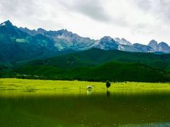 -炊烟餐厅