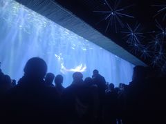 -华夏文旅西安度假区