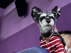 -天虹购物中心(石路店)