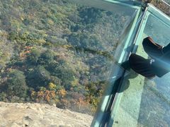 -大芦花风景区