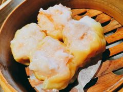 鲜虾烧麦-金鼎轩(方庄天坛店)