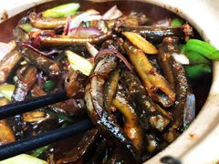 -汤氏美食台山水步特色黄鳝饭(龙津东路店)