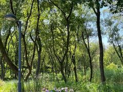 -西湖风景区-江洋畈生态公园