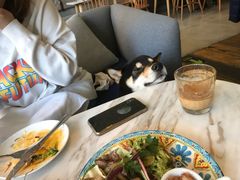brunch-the rug 飞毯 (朝阳公园店)