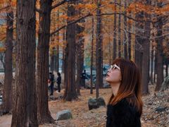 -白水寺森林公园