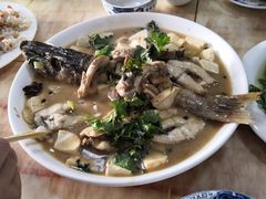 -煲来饱去冷水鱼