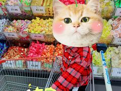 -家乐福(古北店)