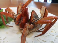 -友强·23年特色海鲜大排档(厦门店)