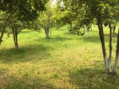 -艾溪湖湿地公园