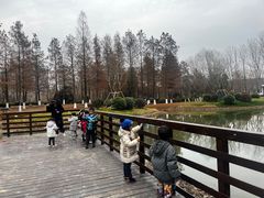 -惠洛克国际儿童之家(绿博园中心)