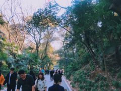 -蜀冈西峰生态公园