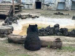 -黔灵山公园