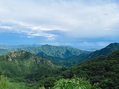 -大岭沟猕猴桃谷风景区