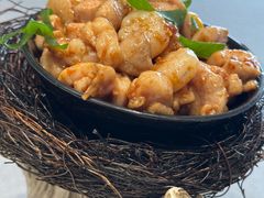 -丁老爷子苏香圆