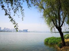 -高子水居