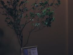 -Onirii Coffee(长乐路店)
