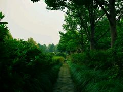 -白塘生态植物园