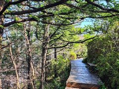 -白草畔自然风景区