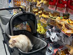 -丽达购物中心(崂山店)