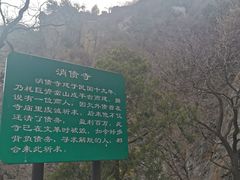 -北京鹫峰国家森林公园