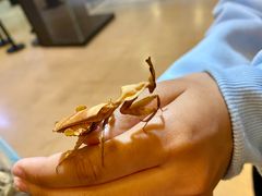 -燕莎友谊商城(亮马桥店)