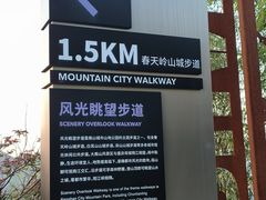 -南山植物园
