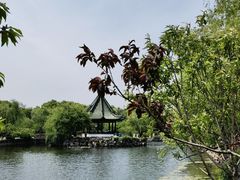 -无锡蠡湖国家湿地公园-蠡园
