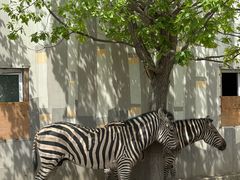 -水上乐园·欢乐世界