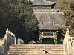 -晋祠公园