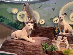 -陕西自然博物馆