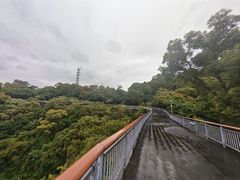 -金鸡山公园