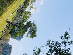 -宝安西湾红树林湿地公园